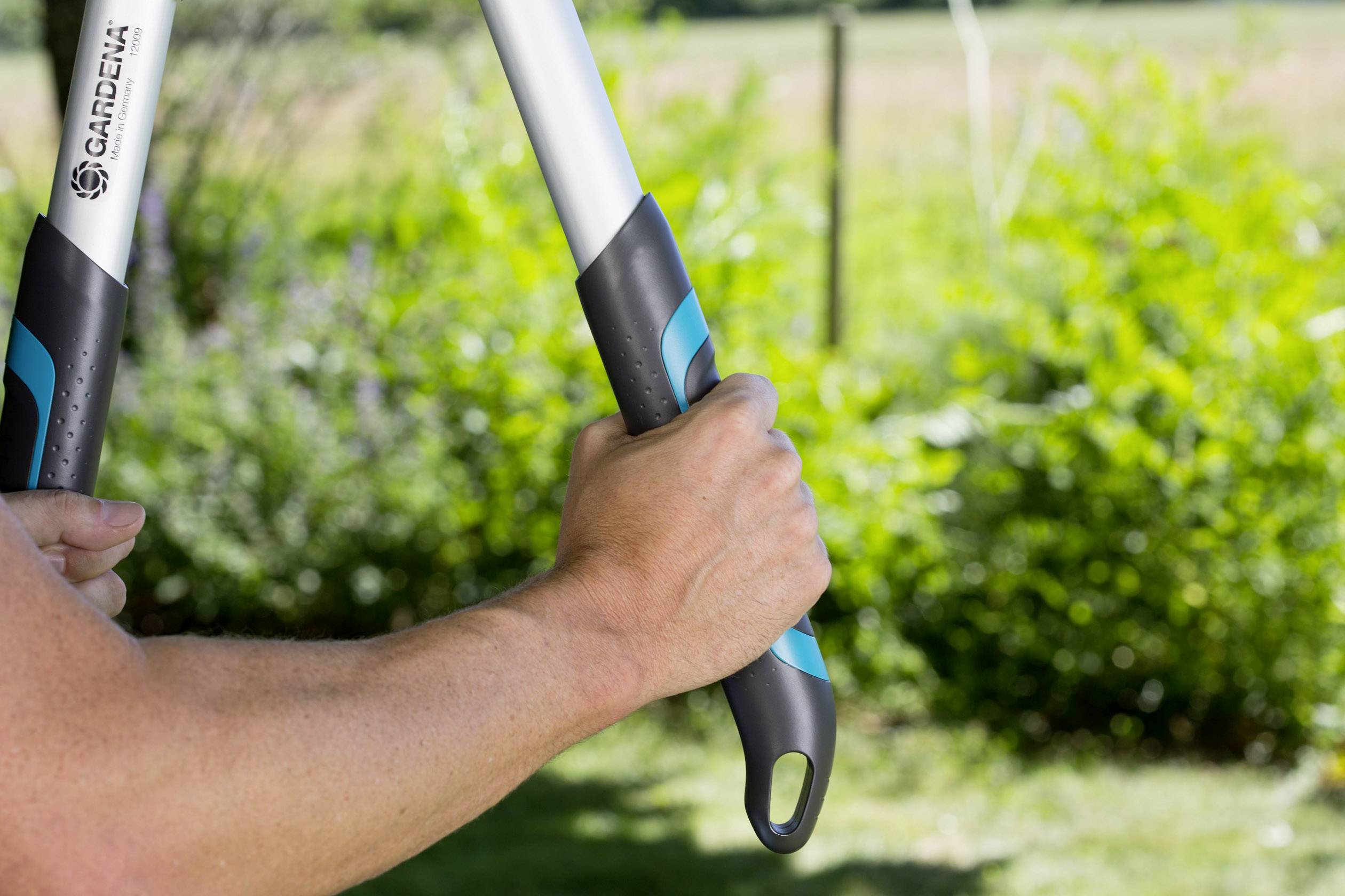 A person is holding a pair of secateurs with blue handles, with a green hedge in the background.