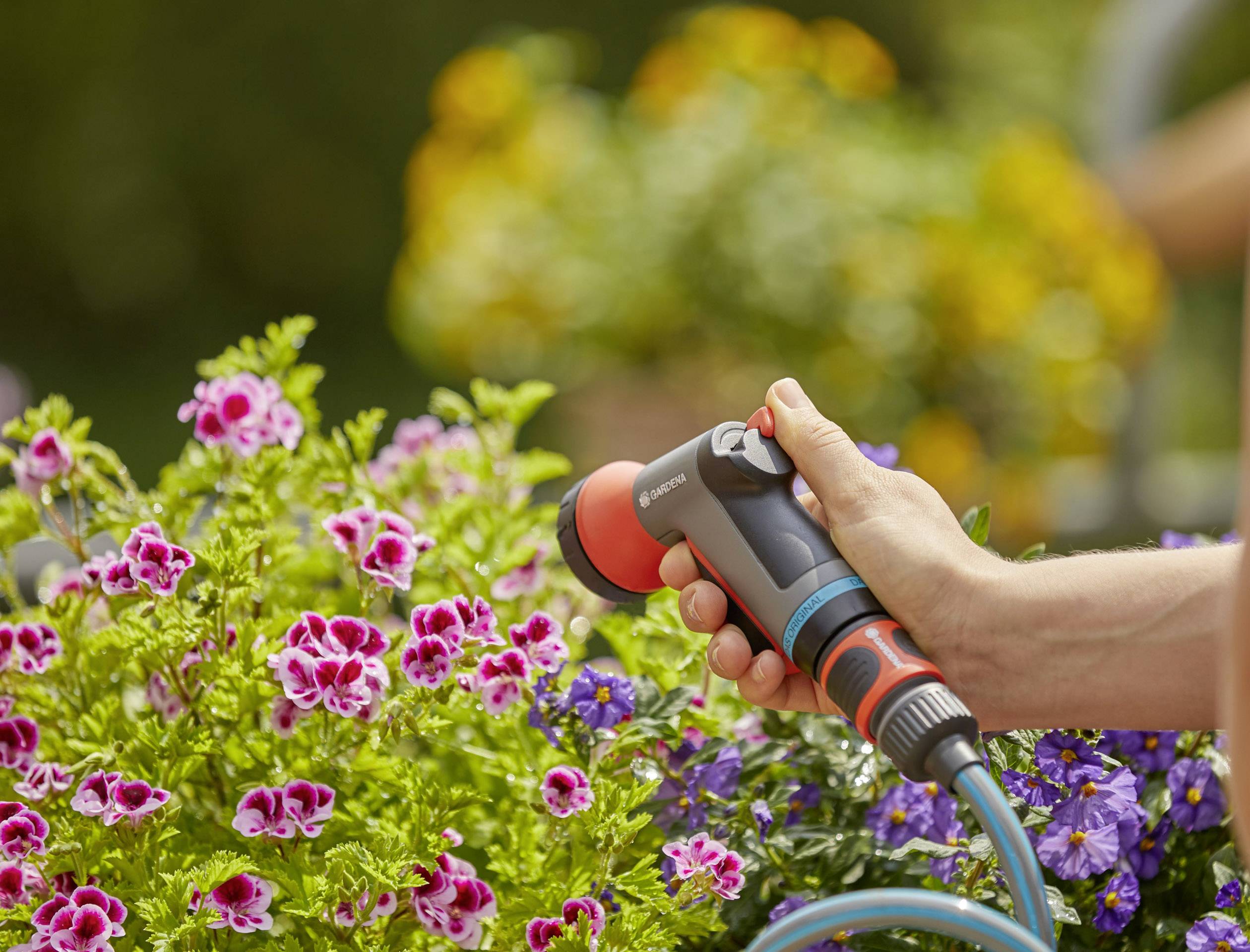 A person is watering flowering plants in the garden with a hosepipe while the sun is shining.