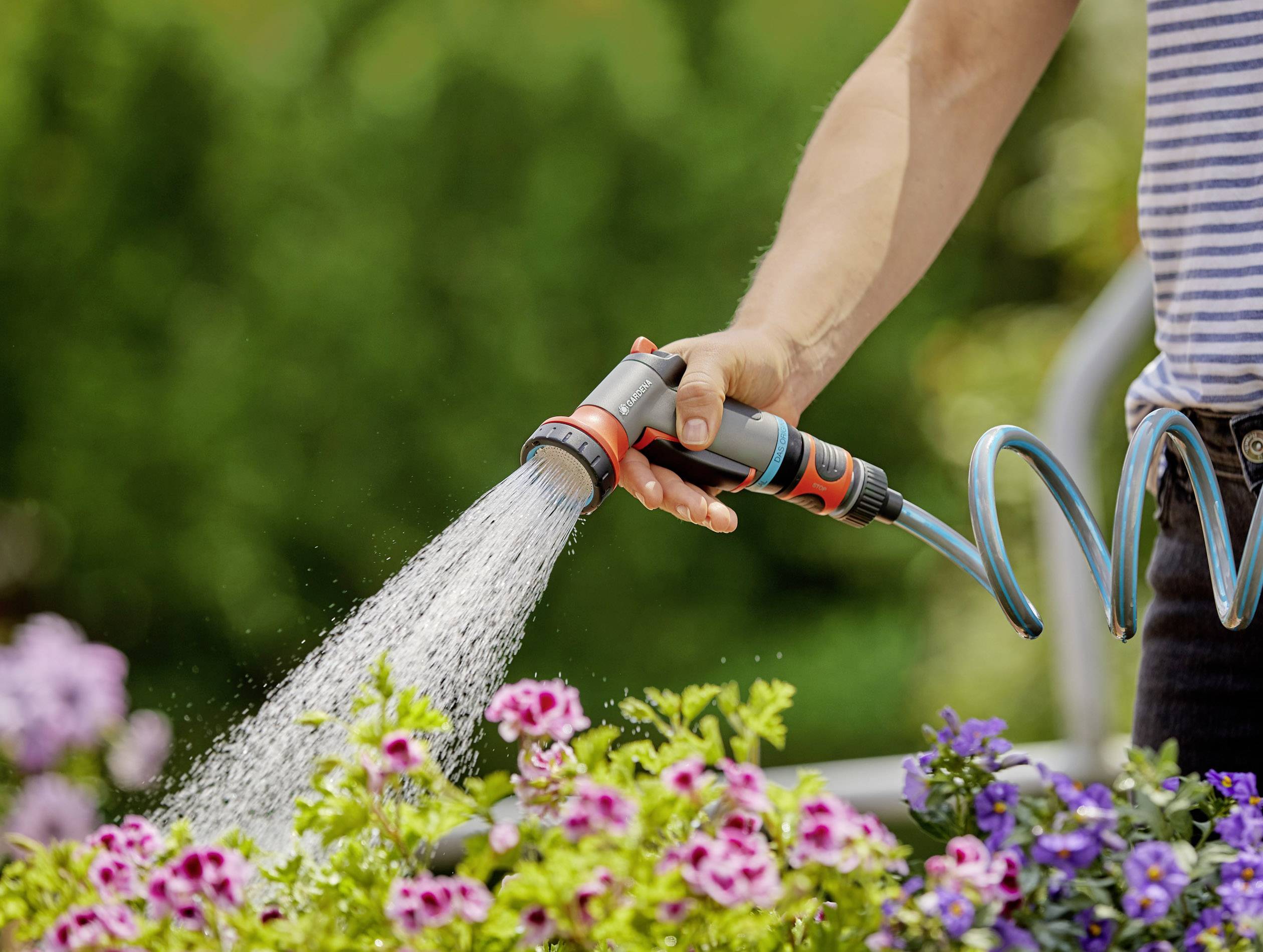 A person is watering colourful flowers in the garden with a hosepipe. Water is flowing strongly from the nozzle onto the plants.