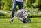 A person is pulling a garden hose reel across a green lawn. Flowers and shrubs can be seen in the background.
