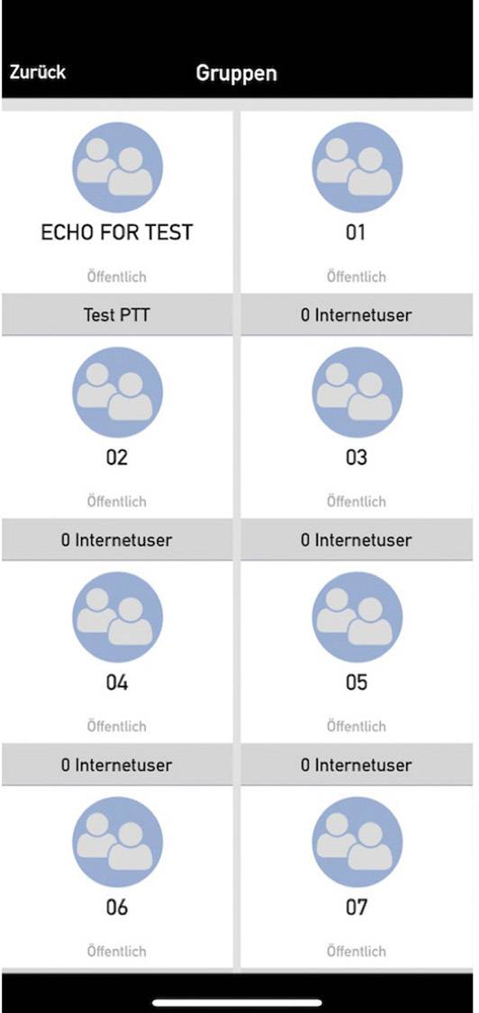 'Groups' screen displaying group names, member numbers, and visibility settings. Example groups: 'ECHO FOR TEST', 'Test PTT'.