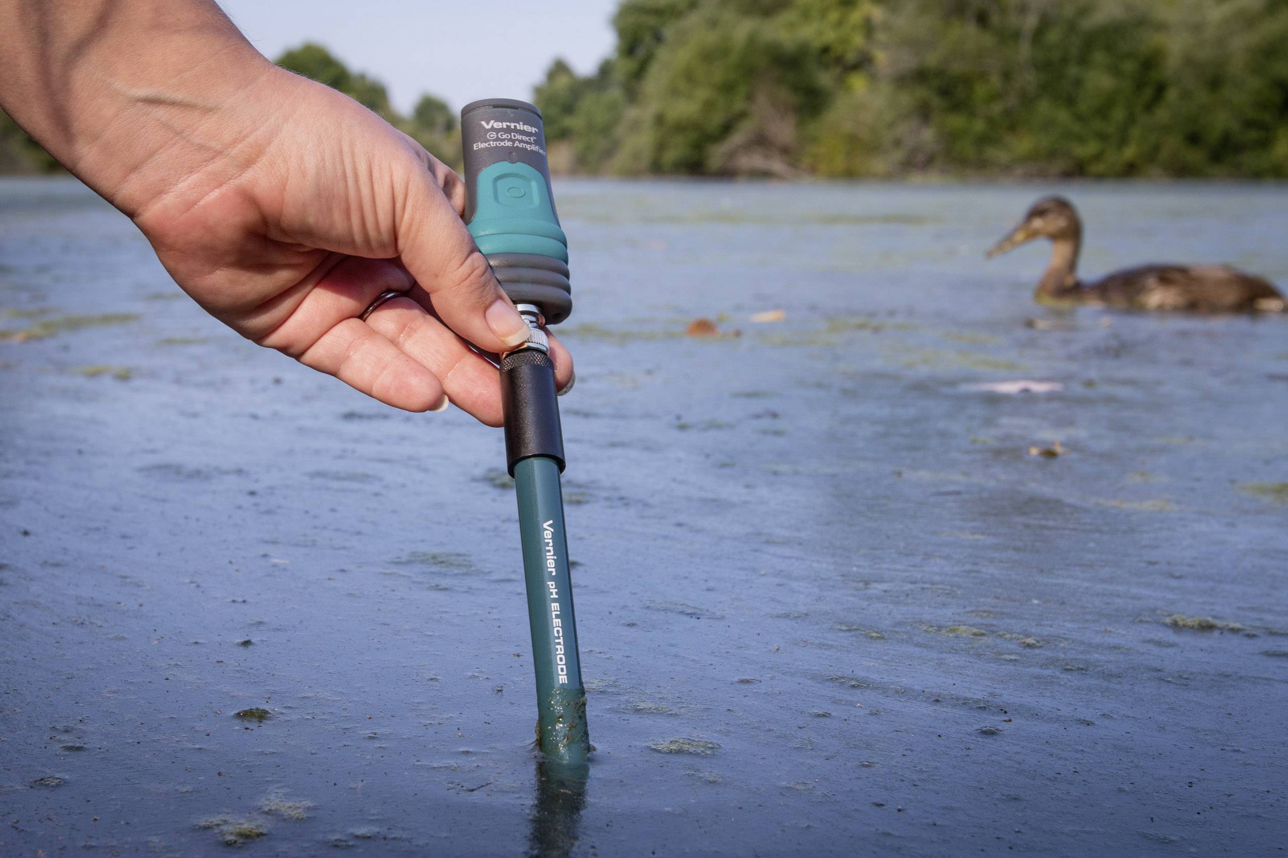 Vernier GDXPH pH meter pH