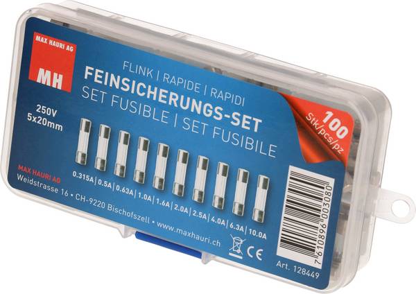 Max Hauri 128449  Micro fuse set (Ø x L) 5 mm x 20 mm   Quick response -F- Content 100 pc(s)