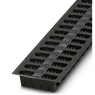 A black plastic tray with multiple rectangular compartments used for seed germination.