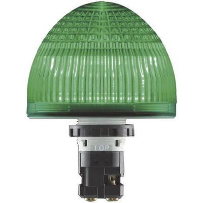 Idec Light LED HW1P-5Q4G HW1P-5Q4G  Green Non-stop light signal 24 V DC, 24 V AC 