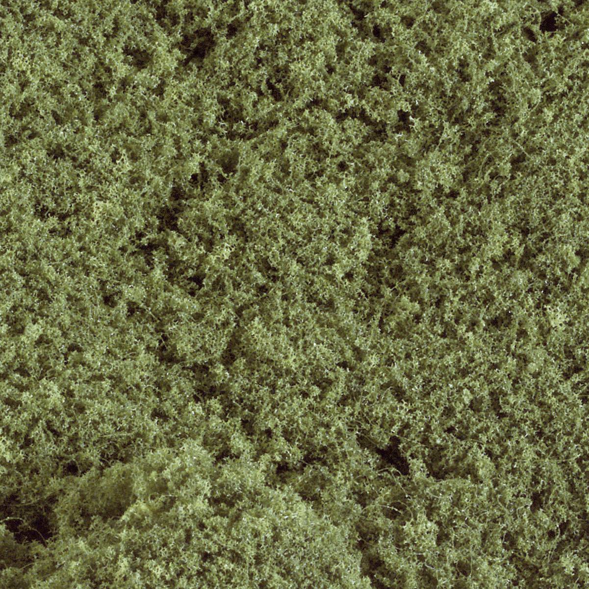 Green moss-like structure in close-up, with dense texture and irregular pattern.