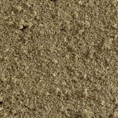 Close-up of a beige carpet texture with a dense, uniform surface. The fibres are tightly interwoven.