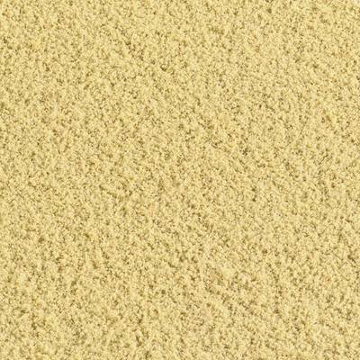 Beige sand surface with a fine, uniform texture reminiscent of a dune landscape.