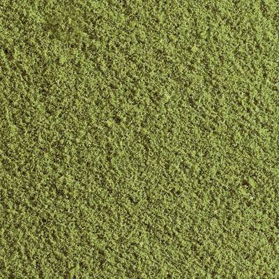 Close-up of a green, moss-covered surface showing a dense texture with irregular undulations and depressions.