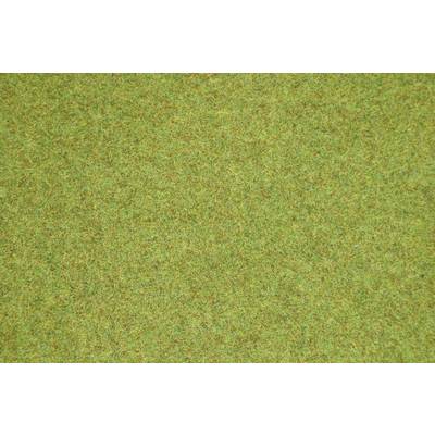 Close-up of a uniform, green lawn surface without any visible blemishes or distinctive features.