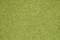Close-up of a uniform, green lawn surface without any visible blemishes or distinctive features.