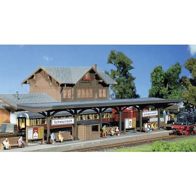Railway station with two platforms and people on the platform, buildings in the background. A train on the left, steam locomotive on the right. Location signs reading 'Schwarzach'.