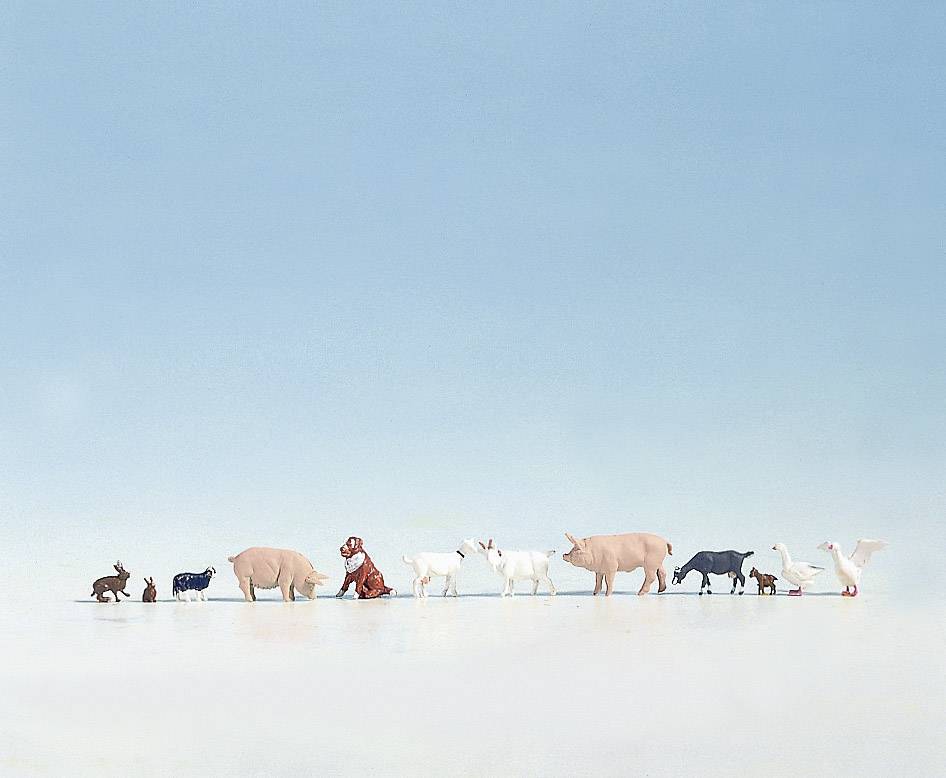 Image of NOCH H0 Animals Painted, Standing