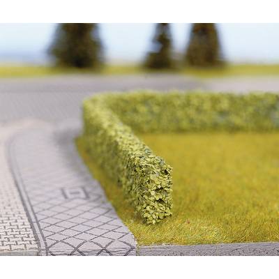A hedge frames a lawn beside a paved pathway with blurred trees in the background.