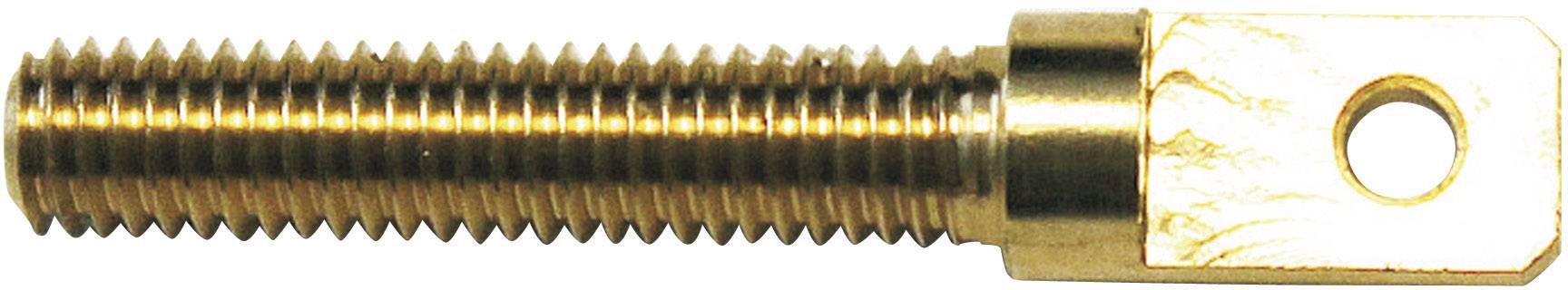Modelcraft 11589/RM-30 Brass Eye bolt External thread M3 23 mm 4 pc(s)