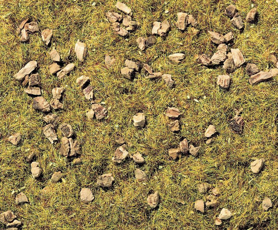 Bird's nest on a meadow, surrounded by scattered branches and grass.