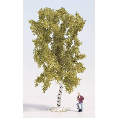 A miniature model of a birch tree with green leaves, beside which stands a small figurine representing a person.