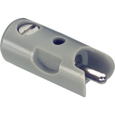 Grey plastic wall plug with metal pin, used for mounting shelves or hooks on walls, approximately three centimetres long.