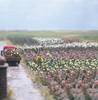 Busch 1205 H0 120 Roses Assembly kit