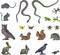 Various toy animals and insects, including an owl, mouse, snake, frog, butterfly, squirrel, hedgehog and hare, arranged.