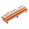 Weidmüller Relay card equipped 1 pc(s) RSM-16 24V(-/+) 1CO S 1 change-over 250 V AC Piece