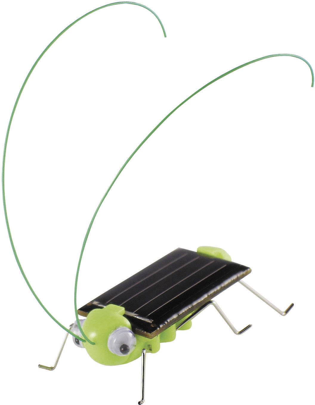 Sol Expert 46125 46125 Solar cricket