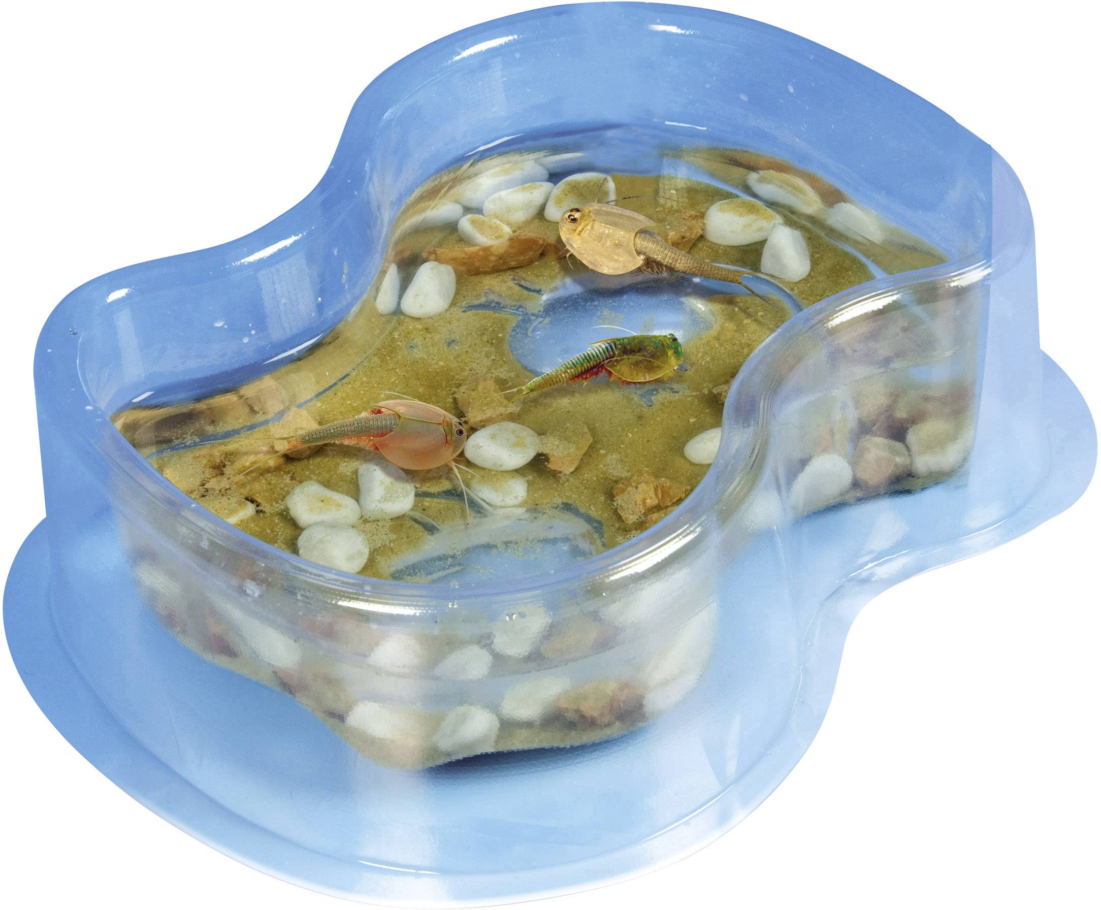 Original Triops Starter-Set Clementoni Galileo 