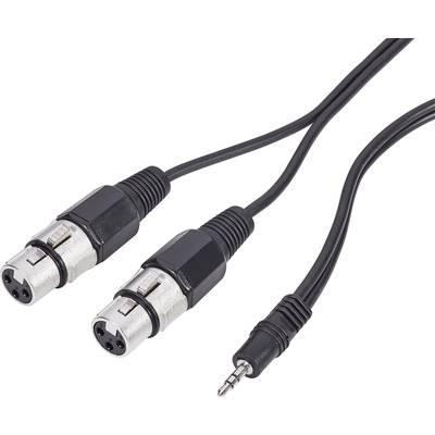 Paccs  XLR Adapter cable [2x XLR socket - 1x Jack plug 3.5 mm] 3.00 m Black