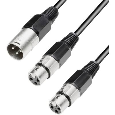 Paccs  XLR Y cable [2x XLR socket - 1x XLR plug] 0.60 m Black
