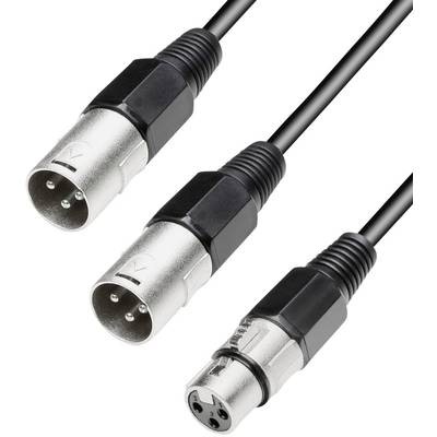 Paccs  XLR Y cable [2x XLR plug - 1x XLR socket] 0.60 m Black