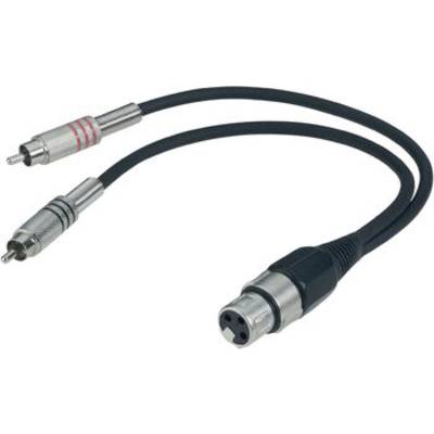 Paccs  XLR Adapter cable [2x RCA plug (phono) - 1x XLR socket] 0.60 m Black