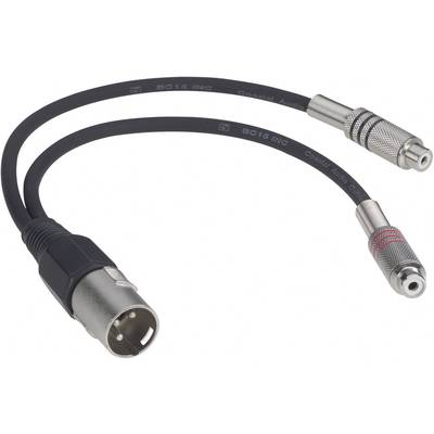 Paccs  XLR Adapter cable [1x XLR plug - 2x RCA socket (phono)] 0.60 m Black