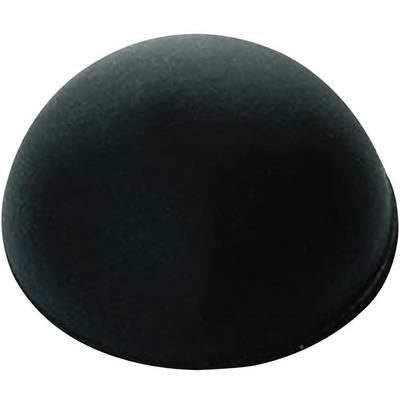 A black, hemispherical structure on a white background.