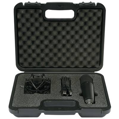 Black transport case with foam padding contains a microphone, a microphone stand, and a USB cable, neatly arranged.