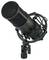 Black studio microphone in a spider mount, pointing upwards. Recording device for professional sound recordings.