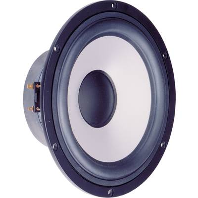 A large black and white speaker with a round shape and prominent screws on the side, suitable for audio systems.
