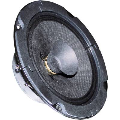 Buy Visaton BG 13 P Ohm inch 13 cm Wideband speaker 20 W Ω