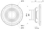 Visaton W 170 woofer