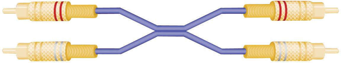 SpeaKa Professional SP-7869776 RCA Audio/phono Cable [2x RCA plug (phono) - 2x RCA plug (phono)] 2.50 m Blue gold plated-1