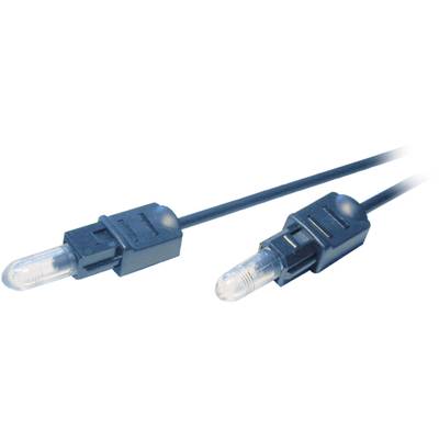 SpeaKa Professional Toslink Digital Audio Cable [1x Toslink plug (ODT) - 1x Toslink plug (ODT)] 1.00 m Black 