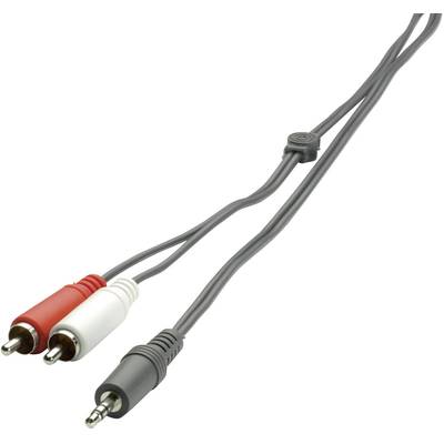 SpeaKa Professional SP-1300360 RCA / Jack Audio/phono Cable [2x RCA plug (phono) - 1x Jack plug 3.5 mm] 2.00 m Black 