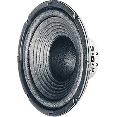 Loudspeaker in close-up, showing the membrane and outer frame.