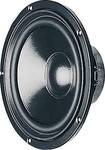 Visaton W 170 S woofer.