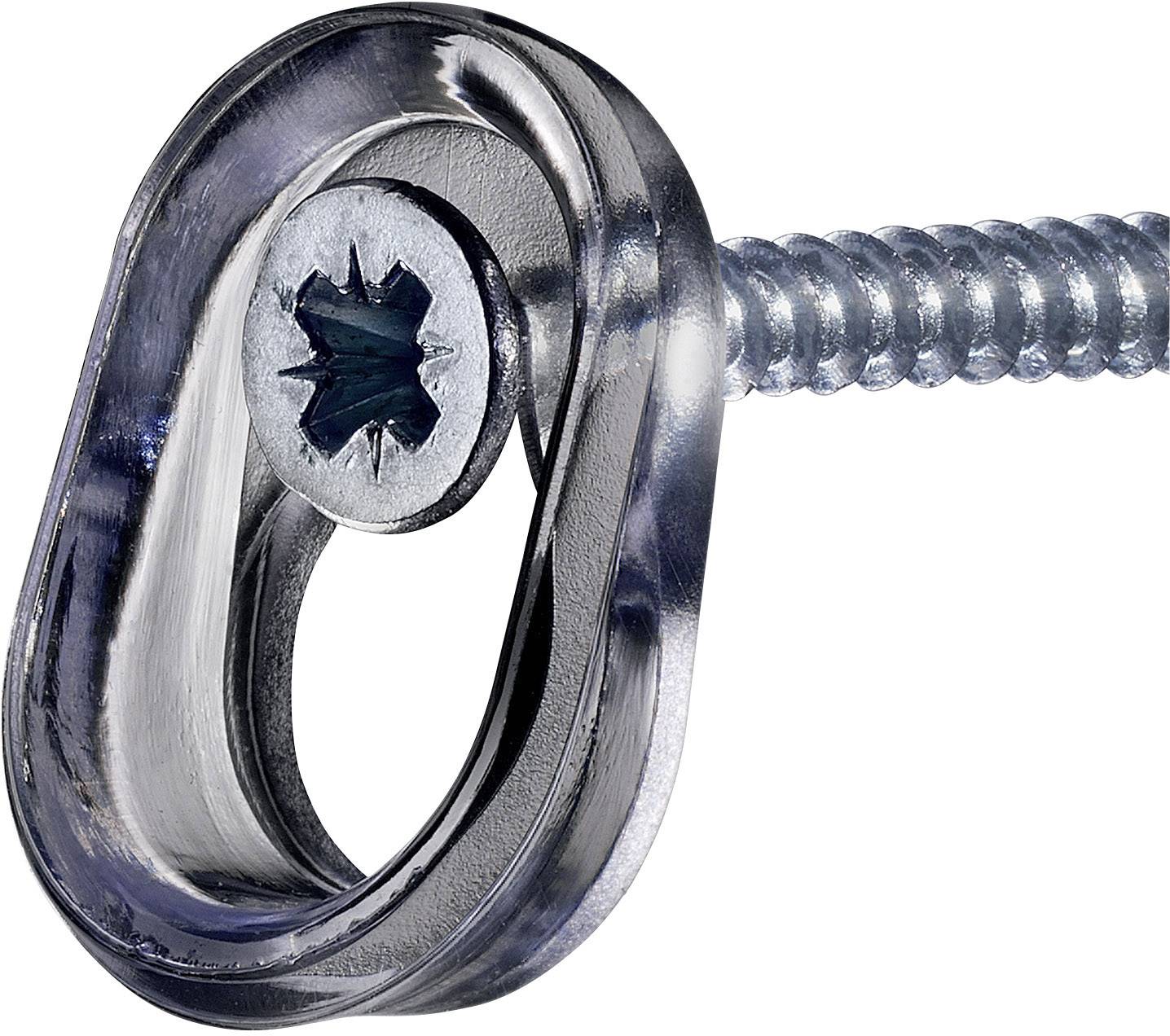 Close-up of a silver screw with an oval head and cross-head drive on a smooth, reflective metal surface.