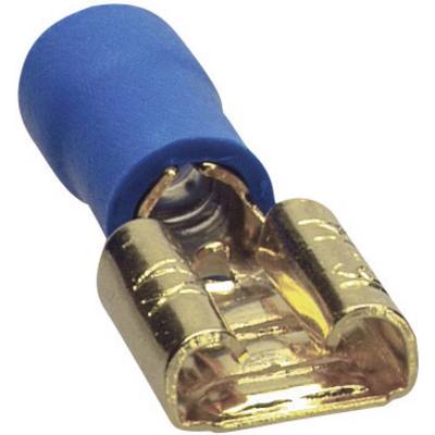 A blue electrical connector with brass embellishments in close-up, displaying the insulation and metallic connection component.