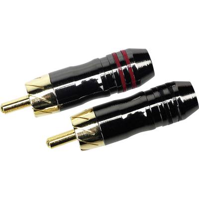 Two black RCA plugs with gold-plated ends, one with a red ring and one with a white ring, for audio and video connections.