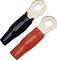 Two ring cable lugs: one black, one red, lying side by side. Both have an insulated collar sleeve and are metallically shiny.