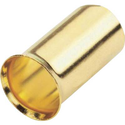 A golden, cylindrical metal connector in close-up, possibly part of an electrical plug or cable.