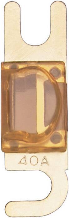 Sinuslive Car audio mini ANL fuse 40 A 1 pc(s)