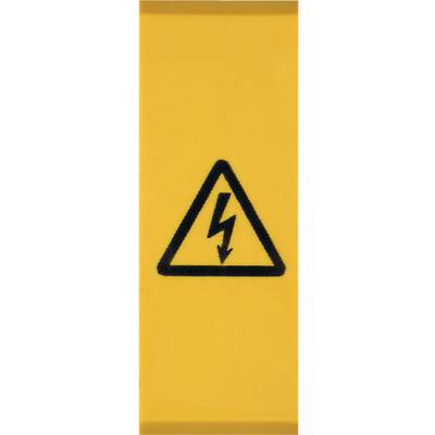 Warning sign: Yellow triangle with black lightning symbol, warns of electrical danger or high voltage.
